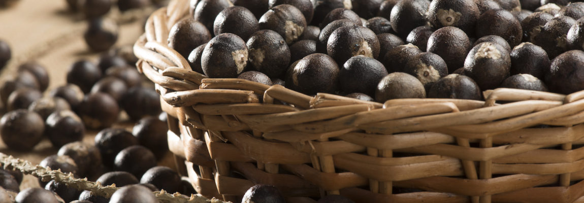 6 Reasons Acai Berries are a Superfood